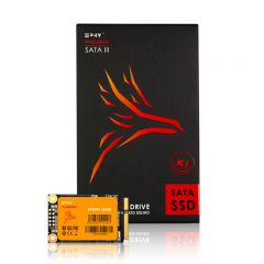 EPHY Phoenix 256GB SSD MSata Solid State Drive and Packaging